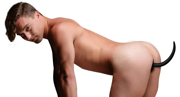 Anal XR Brands Master Series Xl Silicone Puppy Tail Butt Plug
